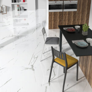 GRAYISH 60 X 60 POLI